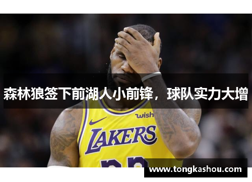 森林狼签下前湖人小前锋，球队实力大增